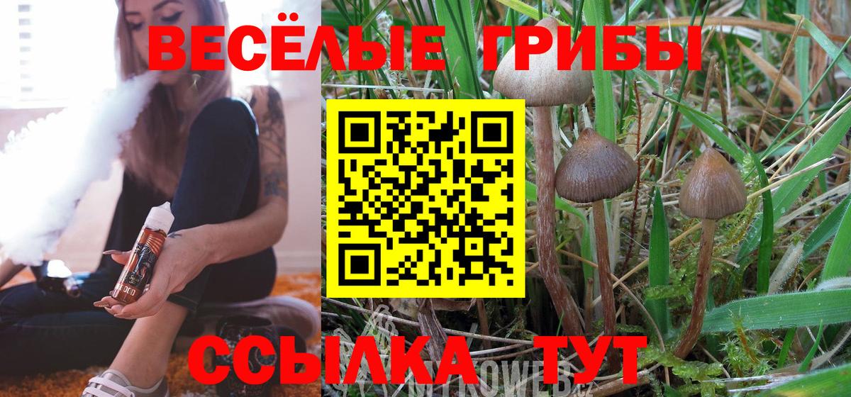 где продают   Псилоцибиновые грибы MAGIC MUSHROOMS  Вход с VPN  Карталы  Галлюциногенные грибы GOLDEN TEACHER 