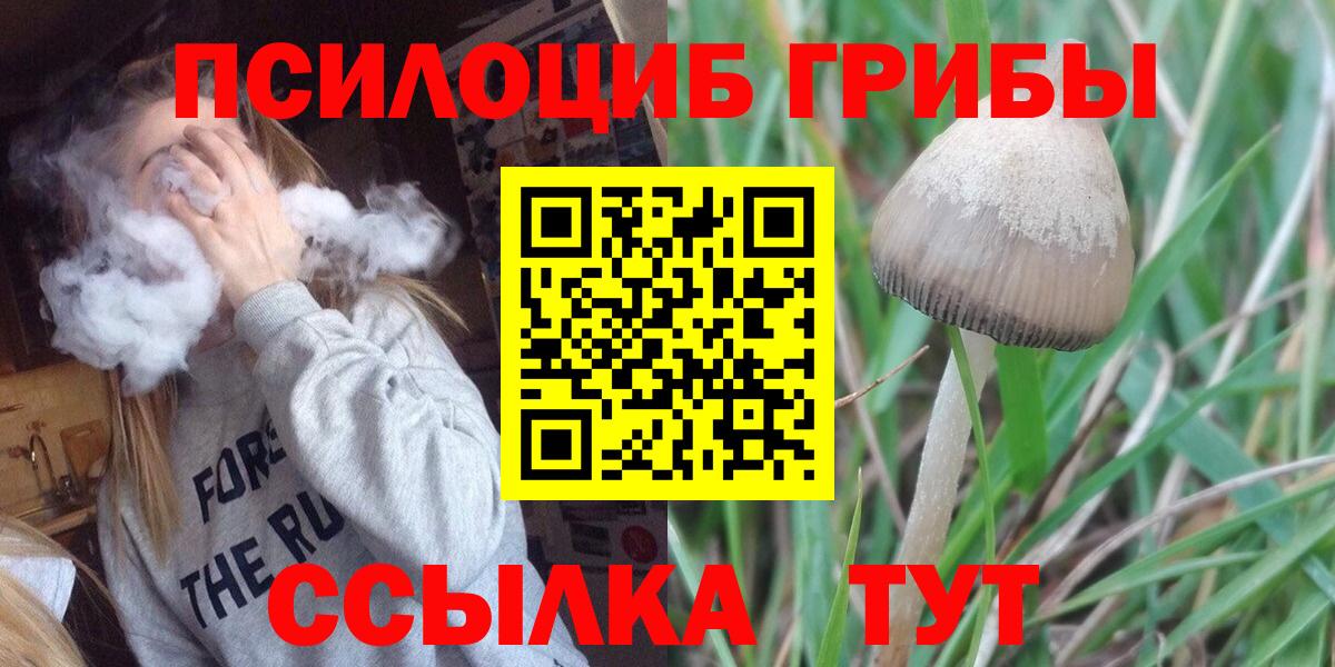 Псилоцибиновые грибы Magic Shrooms Карталы